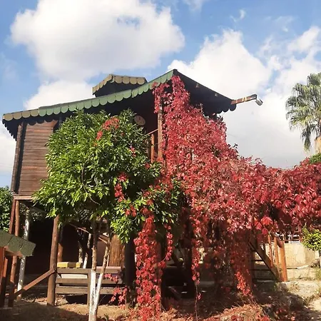 Esvida Arzum Bungalow Hotel Kumluca